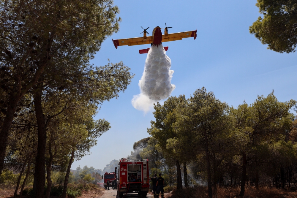 &Eta; &Pi;&epsilon;&lambda;&omicron;&pi;ό&nu;&nu;&eta;&sigma;&omicron;&sigmaf; &laquo;έ&sigma;&omega;&sigma;&epsilon;&raquo; &phi;έ&tau;&omicron;&sigmaf; &tau;&alpha; &delta;ά&sigma;&eta; &tau;&eta;&sigmaf;