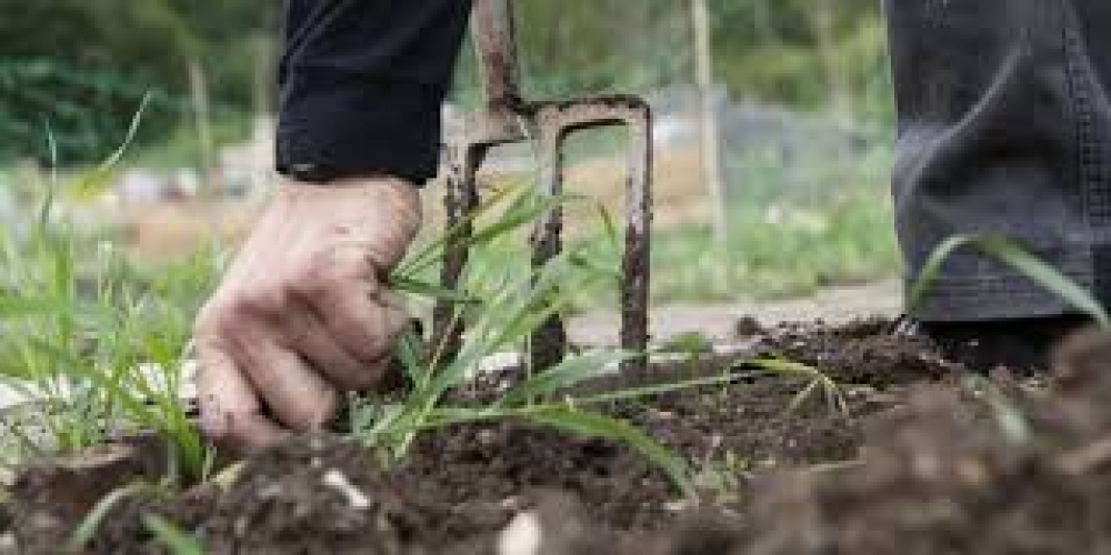 20 &theta;έ&sigma;&epsilon;&iota;&sigmaf; &epsilon;&rho;&gamma;&alpha;&sigma;ί&alpha;&sigmaf; &sigma;&tau;&omicron; &Delta;. &Sigma;&pi;ά&rho;&tau;&eta;&sigmaf;