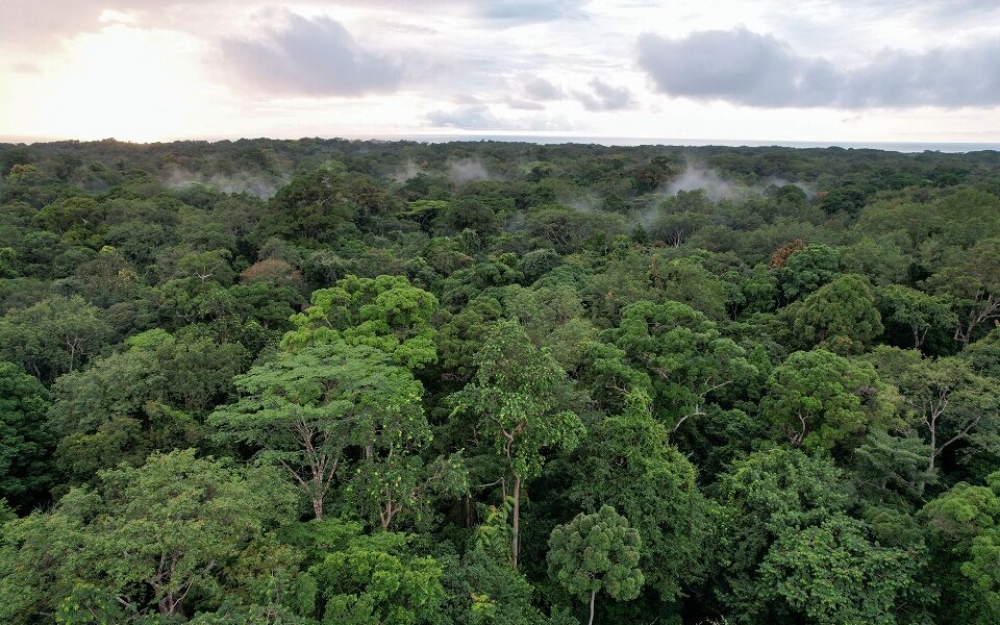 &Pi;ώ&sigmaf; &omicron; &Delta;&alpha;&rho;&beta;ί&nu;&omicron;&sigmaf; &kappa;&alpha;&theta;&omicron;&delta;&eta;&gamma;&epsilon;ί &tau;&omicron;&upsilon;&sigmaf; &sigma;&eta;&mu;&epsilon;&rho;&iota;&nu;&omicron;ύ&sigmaf; &gamma;&epsilon;&omega;&pi;ό&nu;&omicron;&upsilon;&sigmaf; 150 &chi;&rho;ό&nu;&iota;&alpha; &mu;&epsilon;&tau;ά