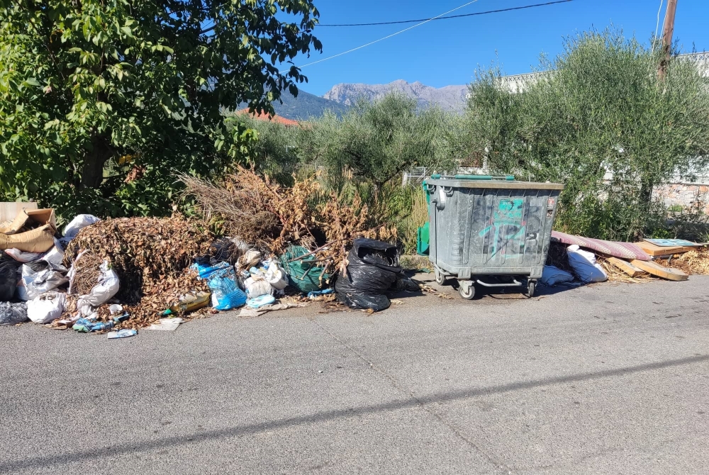 &laquo;&Xi;έ&mu;&epsilon;&iota;&nu;&alpha;&nu;&raquo; &tau;&alpha; &omicron;&gamma;&kappa;ώ&delta;&eta; &sigma;&tau;&eta; &Mu;&alpha;&gamma;&omicron;ύ&lambda;&alpha;