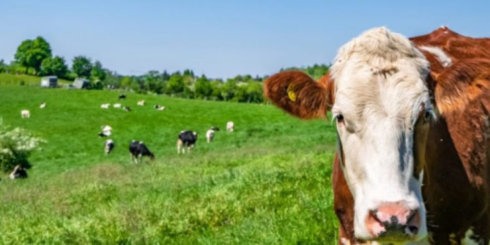 &Sigma;&upsilon;&nu;&delta;&epsilon;&delta;&epsilon;&mu;έ&nu;&epsilon;&sigmaf; &epsilon;&nu;&iota;&sigma;&chi;ύ&sigma;&epsilon;&iota;&sigmaf;: &Kappa;&alpha;&theta;&omicron;&rho;ί&sigma;&tau;&eta;&kappa;&alpha;&nu; &tau;&alpha; &pi;&omicron;&sigma;ά &gamma;&iota;&alpha; &tau;&omicron; &beta;ό&epsilon;&iota;&omicron;, &tau;&rho;&omicron;&pi;&omicron;&pi;&omicron;&iota;ή&sigma;&epsilon;&iota;&sigmaf; &gamma;&iota;&alpha; &tau;&omicron;&nu; &alpha;&rho;&alpha;&beta;ό&sigma;&iota;&tau;&omicron;