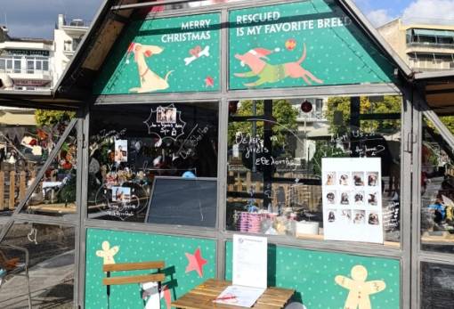 Χνουδωτές διαδρομές: Πρόσκληση για Υποστήριξη των Αδέσποτων Ζώων