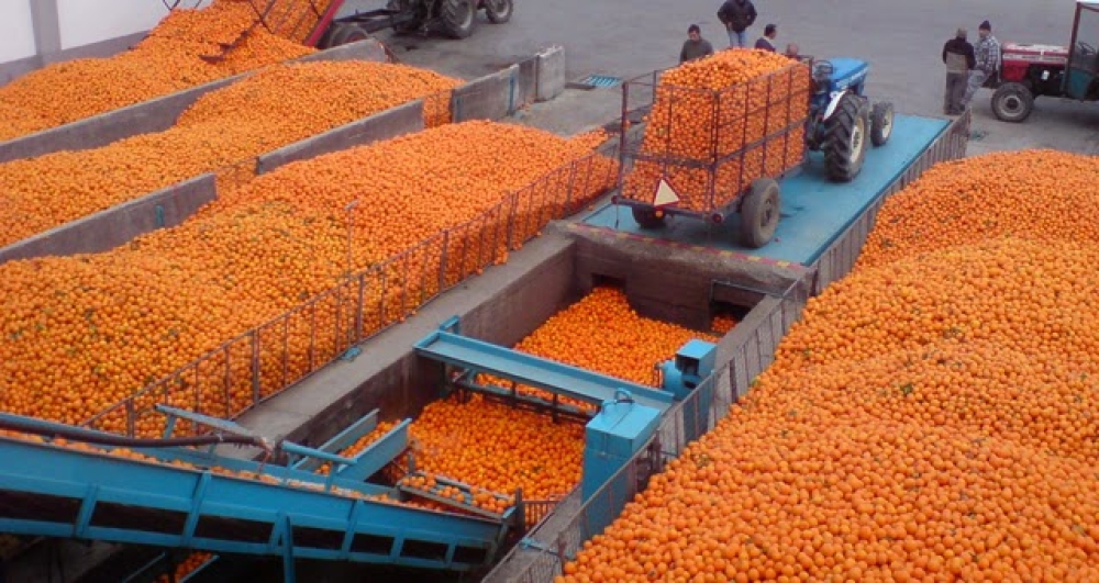 &Alpha;ύ&xi;&eta;&sigma;&eta; &sigma;&tau;&eta; &sigma;&upsilon;&nu;&delta;&epsilon;&delta;&epsilon;&mu;έ&nu;&eta; &epsilon;&nu;ί&sigma;&chi;&upsilon;&sigma;&eta; &gamma;&iota;&alpha; &tau;&omicron; &pi;&omicron;&rho;&tau;&omicron;&kappa;ά&lambda;&iota; &chi;&upsilon;&mu;&omicron;&pi;&omicron;ί&eta;&sigma;&eta;&sigmaf;