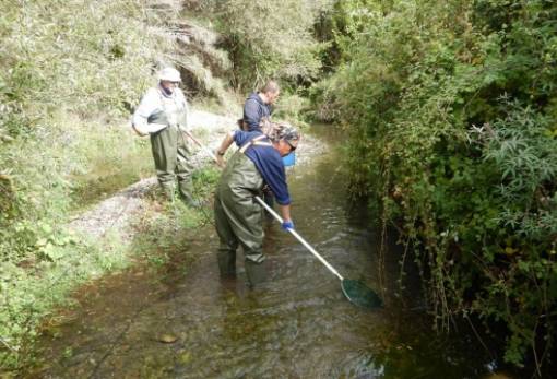 «Δίχτυ» διαφύλαξης της ιχθυοπανίδας του Ευρώτα (ΦΩΤΟ)