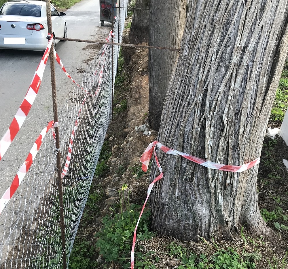 &Kappa;&alpha;&nu;&epsilon;&lambda;&lambda;&omicron;&pi;&omicron;ύ&lambda;&omicron;&upsilon;: &laquo;&Pi;&alpha;&rho;ά&nu;&omicron;&mu;&epsilon;&sigmaf; &delta;&iota;&alpha;&delta;&iota;&kappa;&alpha;&sigma;ί&epsilon;&sigmaf; &kappa;&omicron;&pi;ή&sigmaf; &kappa;&upsilon;&pi;&alpha;&rho;&iota;&sigma;&sigma;&iota;ώ&nu; &sigma;&tau;&omicron; &Alpha;΄ &Nu;&epsilon;&kappa;&rho;&omicron;&tau;&alpha;&phi;&epsilon;ί&omicron;&raquo;