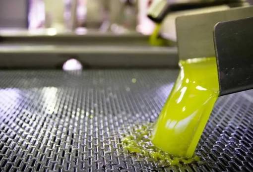 Η Λακωνία «οδηγεί» την κούρσα στο ελαιόλαδο