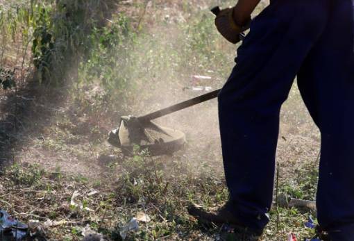 Εξαίρεση από τα «ακαθάριστα» οικόπεδα ζητούν Λάκωνες αγρότες