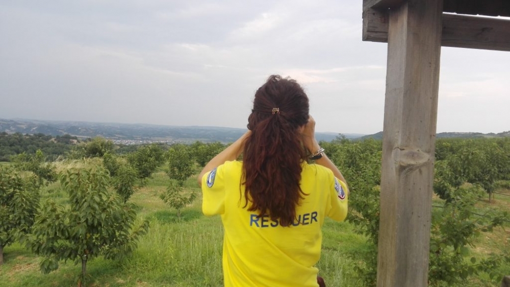 &Pi;&rho;&omicron;&sigma;&lambda;ή&psi;&epsilon;&iota;&sigmaf; &gamma;&iota;&alpha; &pi;&upsilon;&rho;&omicron;&pi;&rho;&omicron;&sigma;&tau;&alpha;&sigma;ί&alpha; &sigma;&tau;&omicron;&nu; &Delta;. &Epsilon;&upsilon;&rho;ώ&tau;&alpha;