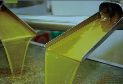 Ανεβαίνουν οι τιμές για το λάδι στη Λακωνία