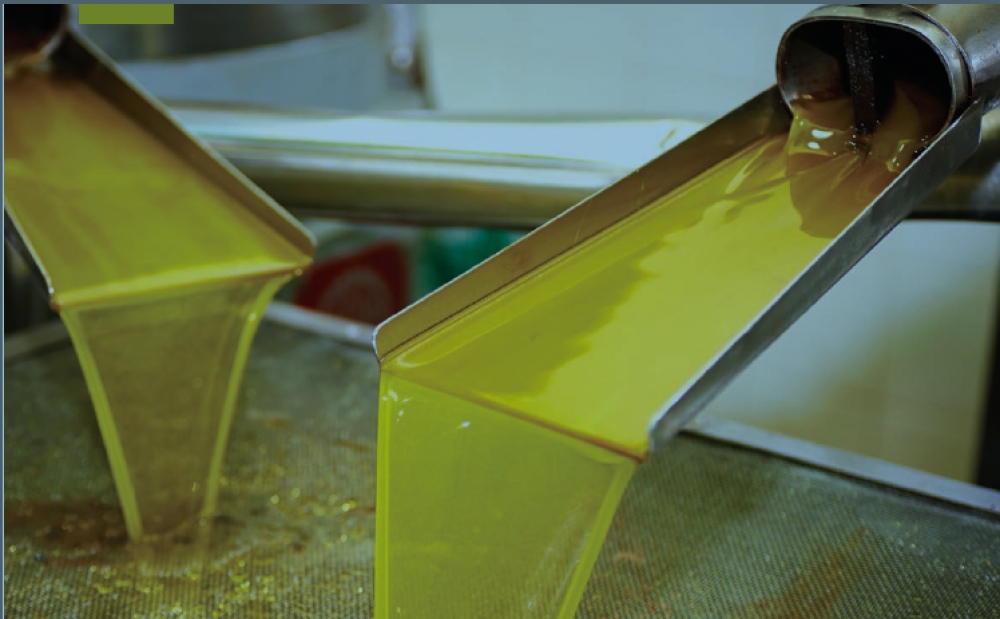 &Alpha;&nu;&epsilon;&beta;&alpha;ί&nu;&omicron;&upsilon;&nu; &omicron;&iota; &tau;&iota;&mu;έ&sigmaf; &gamma;&iota;&alpha; &tau;&omicron; &lambda;ά&delta;&iota; &sigma;&tau;&eta; &Lambda;&alpha;&kappa;&omega;&nu;ί&alpha;