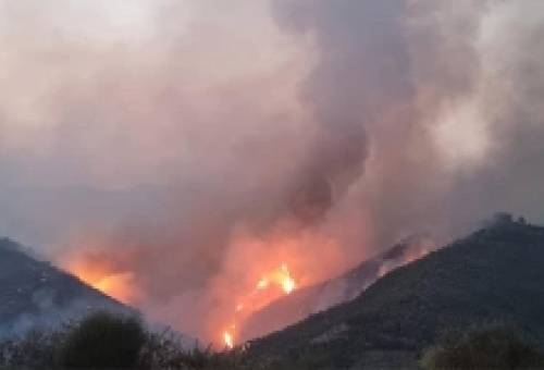 Μακριά από τον Λογγανίκο ο κίνδυνος της πυρκαγιάς της Αρκαδίας