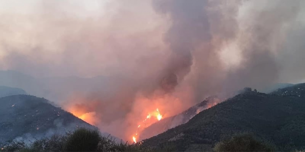 &Mu;&alpha;&kappa;&rho;&iota;ά &alpha;&pi;ό &tau;&omicron;&nu; &Lambda;&omicron;&gamma;&gamma;&alpha;&nu;ί&kappa;&omicron; &omicron; &kappa;ί&nu;&delta;&upsilon;&nu;&omicron;&sigmaf; &tau;&eta;&sigmaf; &pi;&upsilon;&rho;&kappa;&alpha;&gamma;&iota;ά&sigmaf; &tau;&eta;&sigmaf; &Alpha;&rho;&kappa;&alpha;&delta;ί&alpha;&sigmaf;