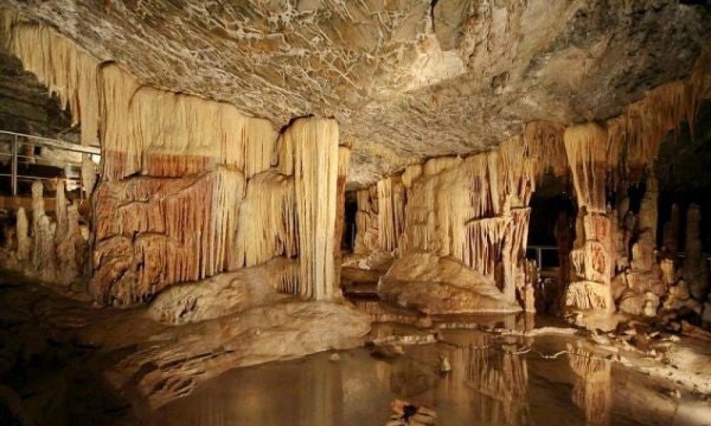 &Pi;&rho;ό&gamma;&rho;&alpha;&mu;&mu;&alpha; &lambda;&epsilon;&iota;&tau;&omicron;&upsilon;&rho;&gamma;ί&alpha;&sigmaf; &Sigma;&pi;&eta;&lambda;&alpha;ί&omicron;&upsilon; &Kappa;&alpha;&sigma;&tau;&alpha;&nu;&iota;ά&sigmaf; &tau;&omicron;&nu; &Alpha;ύ&gamma;&omicron;&upsilon;&sigma;&tau;&omicron;