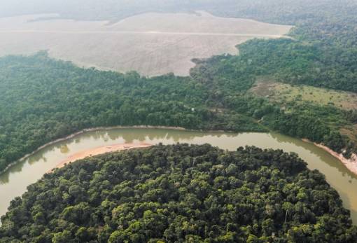 Έγκλημα στον Αμαζόνιο