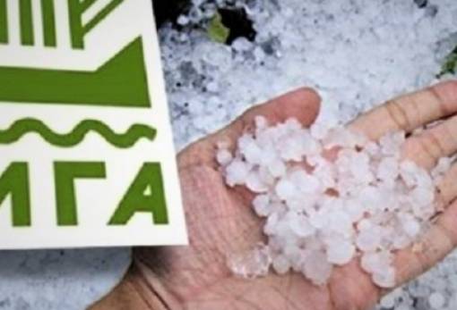 Αναγγελία ζημιάς από το πρόσφατο χαλάζι στις Γούβες