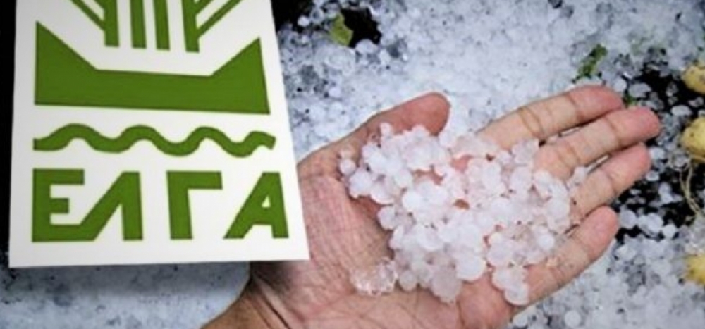 &Alpha;&nu;&alpha;&gamma;&gamma;&epsilon;&lambda;ί&alpha; &zeta;&eta;&mu;&iota;ά&sigmaf; &alpha;&pi;ό &tau;&omicron; &pi;&rho;ό&sigma;&phi;&alpha;&tau;&omicron; &chi;&alpha;&lambda;ά&zeta;&iota; &sigma;&tau;&iota;&sigmaf; &Gamma;&omicron;ύ&beta;&epsilon;&sigmaf;