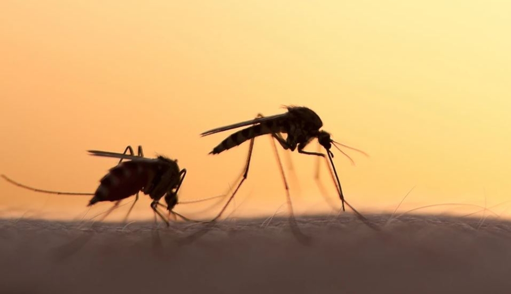 &Kappa;&omicron;&upsilon;&nu;&omicron;ύ&pi;&iota;&alpha; &chi;&omega;&rho;ί&sigmaf; &epsilon;&pi;&omicron;&chi;έ&sigmaf;: &Pi;ώ&sigmaf; &eta; &kappa;&lambda;&iota;&mu;&alpha;&tau;&iota;&kappa;ή &alpha;&lambda;&lambda;&alpha;&gamma;ή &epsilon;&pi;&epsilon;&kappa;&tau;&epsilon;ί&nu;&epsilon;&iota; &tau;&eta;&nu; &epsilon;&xi;ά&pi;&lambda;&omega;&sigma;ή &tau;&omicron;&upsilon;&sigmaf; &kappa;&alpha;&iota; &alpha;&upsilon;&xi;ά&nu;&epsilon;&iota; &tau;&omicron;&upsilon;&sigmaf; &kappa;&iota;&nu;&delta;ύ&nu;&omicron;&upsilon;&sigmaf;