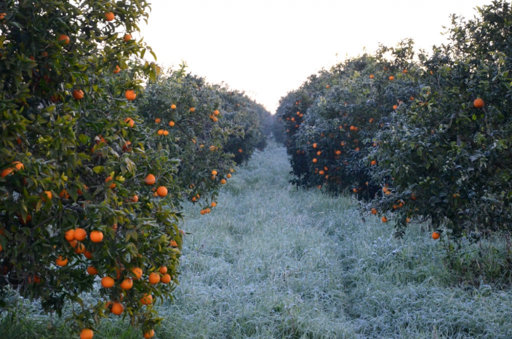 &Alpha;&nu;&alpha;&mu;έ&nu;&omicron;&upsilon;&nu; &tau;&eta;&nu; &pi;&rho;&omicron;&kappa;&alpha;&tau;&alpha;&beta;&omicron;&lambda;ή &gamma;&iota;&alpha; &tau;&alpha; &pi;&alpha;&gamma;ό&pi;&lambda;&eta;&kappa;&tau;&alpha; &sigma;&tau;&omicron;&nu; &Delta;. &Mu;&omicron;&nu;&epsilon;&mu;&beta;&alpha;&sigma;ί&alpha;&sigmaf;