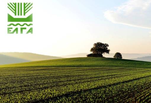 Σε διαβούλευση ο νέος κανονισμός του ΕΛΓΑ