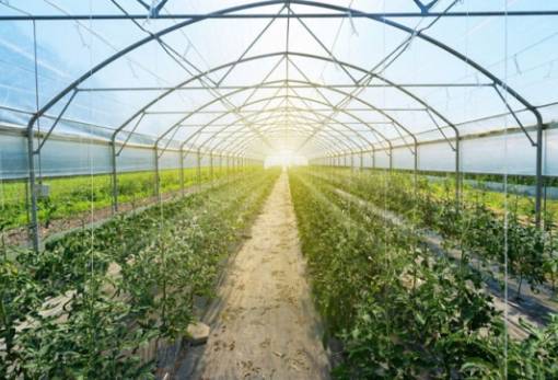 Ταμείο Ανάκαμψης: Πώς εξελίσσονται οι δράσεις χρηματοδότησης του πρωτογενούς τομέα