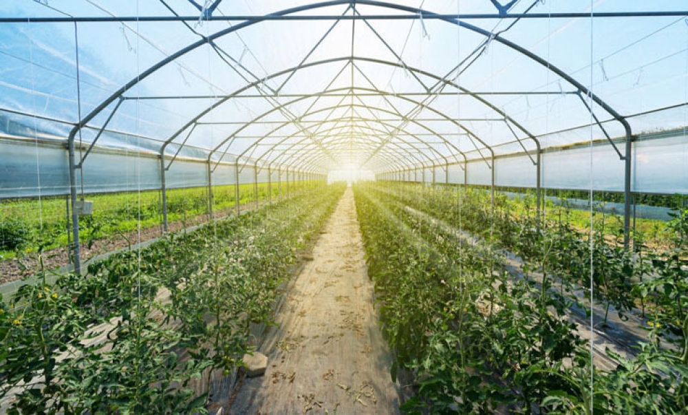 &Tau;&alpha;&mu;&epsilon;ί&omicron; &Alpha;&nu;ά&kappa;&alpha;&mu;&psi;&eta;&sigmaf;: &Pi;ώ&sigmaf; &epsilon;&xi;&epsilon;&lambda;ί&sigma;&sigma;&omicron;&nu;&tau;&alpha;&iota; &omicron;&iota; &delta;&rho;ά&sigma;&epsilon;&iota;&sigmaf; &chi;&rho;&eta;&mu;&alpha;&tau;&omicron;&delta;ό&tau;&eta;&sigma;&eta;&sigmaf; &tau;&omicron;&upsilon; &pi;&rho;&omega;&tau;&omicron;&gamma;&epsilon;&nu;&omicron;ύ&sigmaf; &tau;&omicron;&mu;έ&alpha;