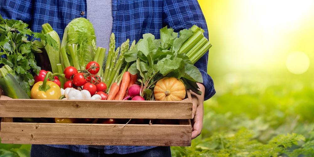 &laquo;&Beta;&iota;&omicron;&lambda;&omicron;&gamma;&iota;&kappa;ά&raquo;: &Tau;&rho;έ&chi;&epsilon;&iota; &tau;ώ&rho;&alpha; &omicron; &Epsilon;&Lambda;&Gamma;&Omicron; &gamma;&iota;&alpha; &nu;&alpha; &pi;&rho;&omicron;&lambda;ά&beta;&epsilon;&iota; &tau;&alpha; &chi;&epsilon;&iota;&rho;ό&tau;&epsilon;&rho;&alpha;