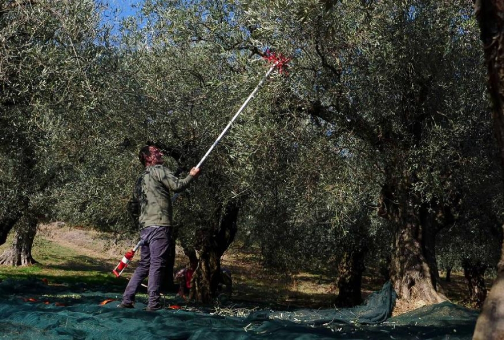 &Alpha;&gamma;&rho;&omicron;&tau;&iota;&kappa;ή &pi;&alpha;&rho;&alpha;&gamma;&omega;&gamma;ή: &Omicron;&iota; &iota;&delta;&iota;&omicron;&kappa;&tau;ή&tau;&epsilon;&sigmaf; &laquo;&epsilon;&nu;&omicron;&iota;&kappa;&iota;&alpha;&sigma;&tau;έ&sigmaf; &sigma;&tau;&eta;&nu; &pi;&epsilon;&rho;&iota;&omicron;&upsilon;&sigma;ί&alpha; &tau;&omicron;&upsilon;&sigmaf;&raquo;