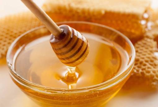 Η Περιφέρεια Πελοποννήσου στο 14ο «Φεστιβάλ Ελληνικού Μελιού»