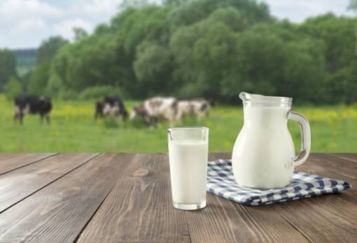 Έρευνα της Επιτροπής Ανταγωνισμού: Μεγάλη αύξηση στην τιμή του γάλακτος μέσα σε έναν χρόνο