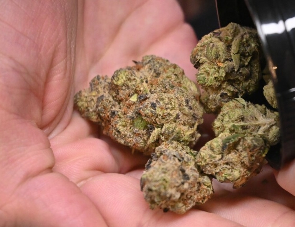 &Mu;&epsilon; &kappa;ά&nu;&nu;&alpha;&beta;&eta; &pi;&iota;ά&sigma;&tau;&eta;&kappa;&alpha;&nu; &delta;ύ&omicron; ά&tau;&omicron;&mu;&alpha; &sigma;&tau;&eta; &Lambda;&alpha;&kappa;&omega;&nu;ί&alpha;