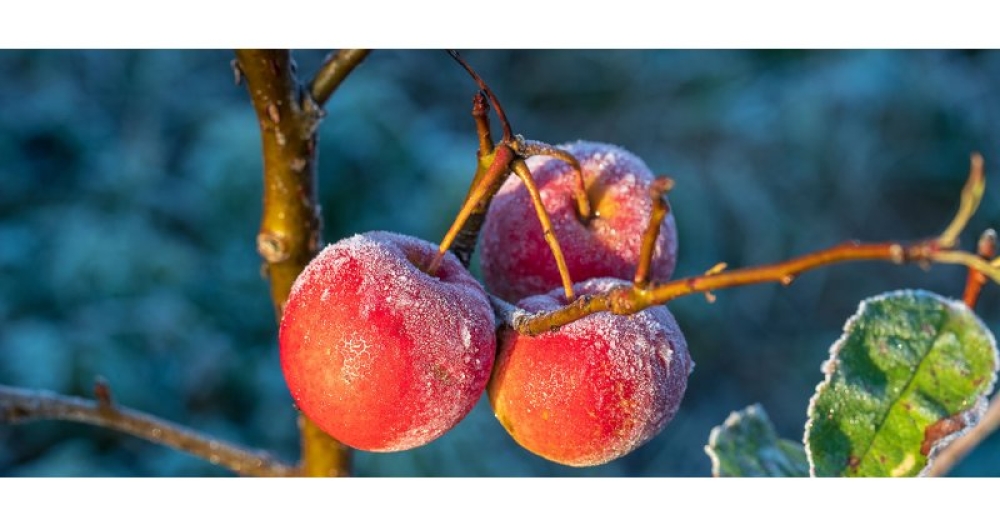 &Upsilon;&pi;&omicron;&beta;&omicron;&lambda;ή &alpha;&iota;&tau;ή&sigma;&epsilon;&omega;&nu; &gamma;&iota;&alpha; &tau;&iota;&sigmaf; &zeta;&eta;&mu;&iota;έ&sigmaf;  &alpha;&pi;ό &tau;&omicron;&nu; &pi;&alpha;&gamma;&epsilon;&tau;ό &sigma;&epsilon; &Gamma;&rho;ά&mu;&mu;&omicron;&upsilon;&sigma;&alpha; &kappa;&alpha;&iota; &Beta;&rho;&omicron;&nu;&tau;&alpha;&mu;ά