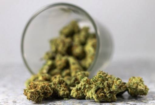 Σύλληψη δύο ατόμων για κάνναβη