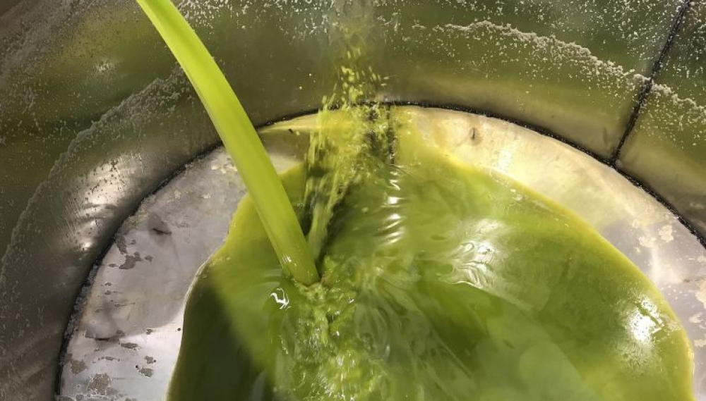 &Delta;&iota;&alpha;&delta;&omicron;&chi;&iota;&kappa;ά &rho;&epsilon;&kappa;ό&rho; &gamma;&iota;&alpha; &tau;&omicron; &lambda;ά&delta;&iota; &sigma;&tau;&eta; &Lambda;&alpha;&kappa;&omega;&nu;ί&alpha;