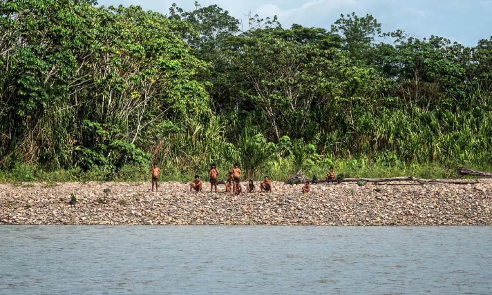 &Alpha;&mu;&alpha;&zeta;ό&nu;&iota;&omicron;&sigmaf;: &Phi;&upsilon;&lambda;ή &chi;&omega;&rho;ί&sigmaf; &epsilon;&pi;&alpha;&phi;έ&sigmaf; &mu;&epsilon; &tau;&omicron;&nu; &pi;&omicron;&lambda;&iota;&tau;&iota;&sigma;&mu;ό &alpha;&pi;&epsilon;&iota;&lambda;&epsilon;ί&tau;&alpha;&iota; &alpha;&pi;ό &tau;&omicron;&upsilon;&sigmaf; &upsilon;&lambda;&omicron;&tau;ό&mu;&omicron;&upsilon;&sigmaf;