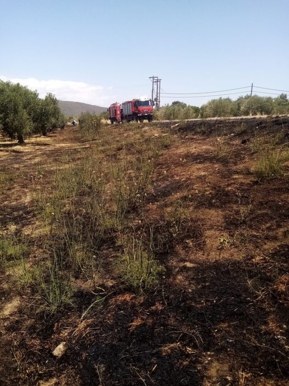 &Sigma;&tau;&omicron; ά&psi;&epsilon; &sigma;&beta;ή&sigma;&epsilon; έ&sigma;&beta;&eta;&sigma;&epsilon; &epsilon;&sigma;&tau;ί&alpha; &phi;&omega;&tau;&iota;ά&sigmaf; &sigma;&tau;&iota;&sigmaf; &Kappa;&rho;&omicron;&kappa;&epsilon;έ&sigmaf;