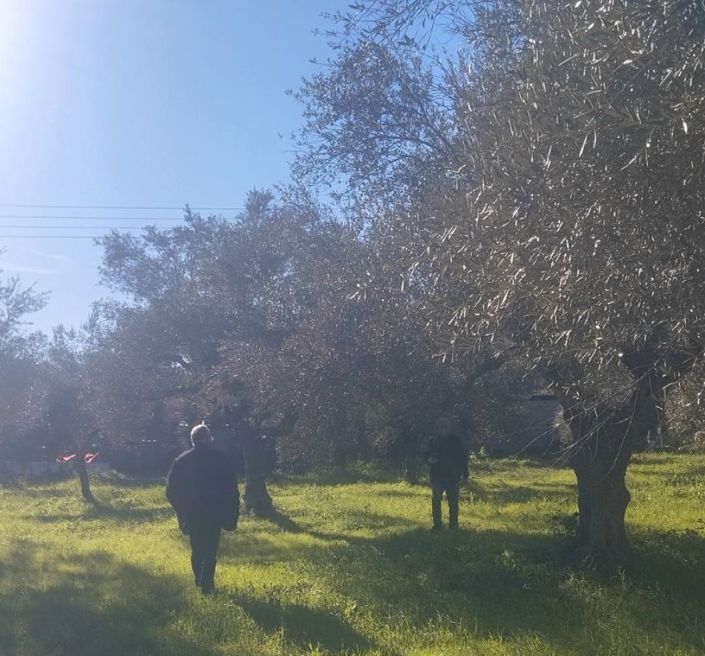 &Pi;&lambda;ή&gamma;&mu;&alpha; &alpha;&pi;ό &tau;&omicron;&upsilon;&sigmaf; &alpha;&nu;έ&mu;&omicron;&upsilon;&sigmaf; &sigma;&tau;&iota;&sigmaf; &epsilon;&lambda;&iota;έ&sigmaf; &sigma;&epsilon; 24 &kappa;&omicron;&iota;&nu;ό&tau;&eta;&tau;&epsilon;&sigmaf; &tau;&eta;&sigmaf; &Sigma;&pi;ά&rho;&tau;&eta;&sigmaf;