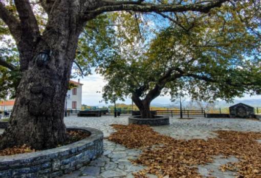 Πρωτοβουλία για ανοιχτή Συνέλευση στη Βαρβίτσα από τον πρόεδρο της Κοινότητας