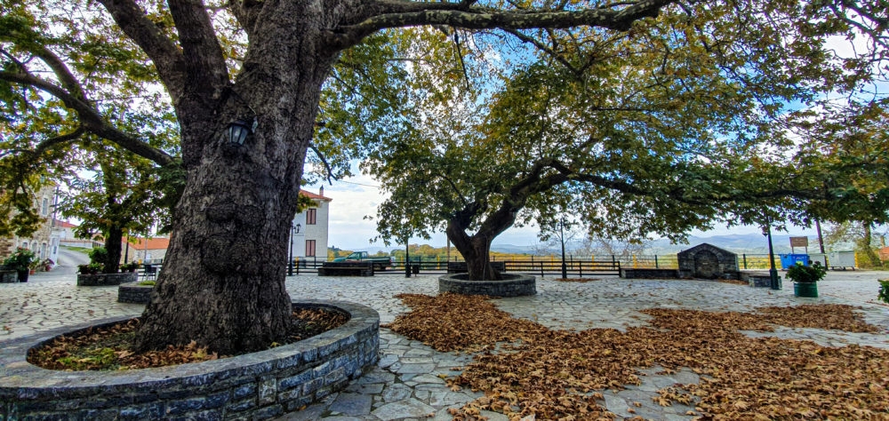 &Pi;&rho;&omega;&tau;&omicron;&beta;&omicron;&upsilon;&lambda;ί&alpha; &gamma;&iota;&alpha; &alpha;&nu;&omicron;&iota;&chi;&tau;ή &Sigma;&upsilon;&nu;έ&lambda;&epsilon;&upsilon;&sigma;&eta; &sigma;&tau;&eta; &Beta;&alpha;&rho;&beta;ί&tau;&sigma;&alpha; &alpha;&pi;ό &tau;&omicron;&nu; &pi;&rho;ό&epsilon;&delta;&rho;&omicron; &tau;&eta;&sigmaf; &Kappa;&omicron;&iota;&nu;ό&tau;&eta;&tau;&alpha;&sigmaf;