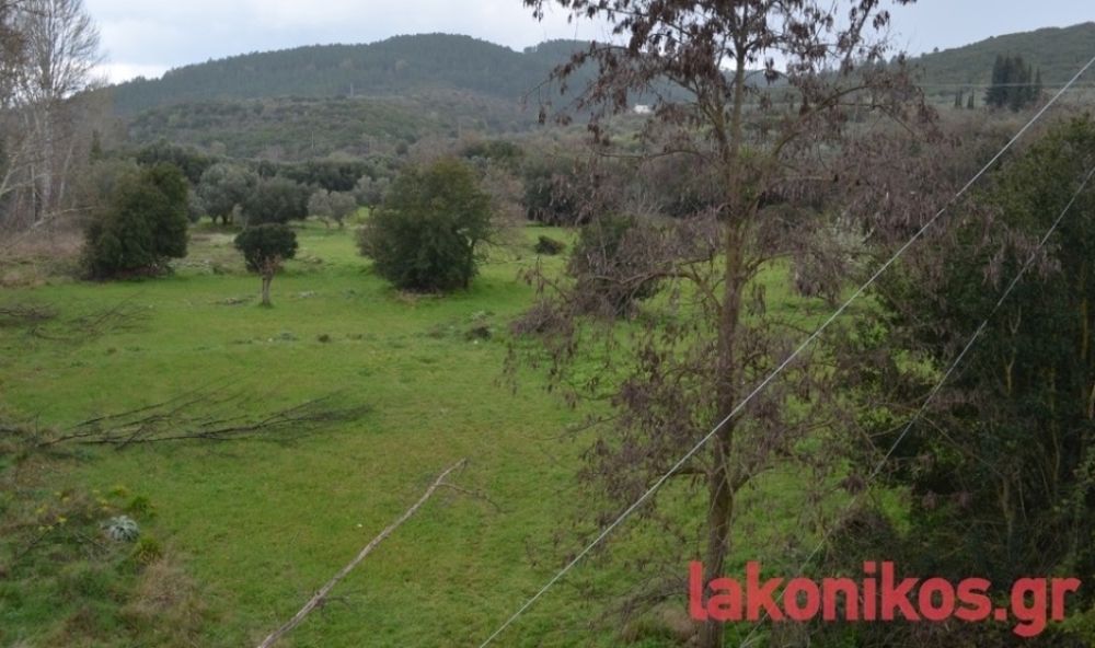 &laquo;Έ&chi;&omicron;&upsilon;&mu;&epsilon; &alpha;&nu;ά&delta;&omicron;&chi;&omicron;&raquo; &gamma;&iota;&alpha; &tau;&omicron; &Phi;&rho;ά&gamma;&mu;&alpha; &Kappa;&epsilon;&lambda;&epsilon;&phi;ί&nu;&alpha;&sigmaf;