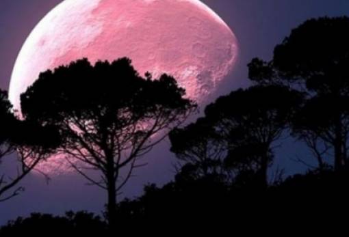 Απόψε το «ροζ φεγγάρι», η πρώτη υπερπανσέληνος του 2021