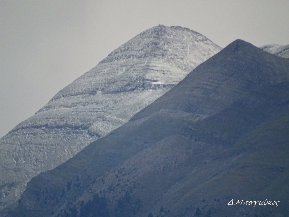 &Sigma;&tau;&alpha; &laquo;&lambda;&epsilon;&upsilon;&kappa;ά&raquo; &eta; &kappa;&omicron;&rho;&upsilon;&phi;ή &tau;&omicron;&upsilon; &Tau;&alpha;ϋ&gamma;έ&tau;&omicron;&upsilon;