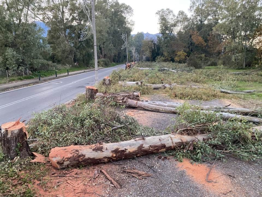 &Epsilon;&xi;&epsilon;&lambda;ί&xi;&epsilon;&iota;&sigmaf; &mu;&epsilon; &tau;&eta;&nu; &alpha;&nu;ά&pi;&lambda;&alpha;&sigma;&eta; &sigma;&tau;&omicron; Ά&lambda;&sigma;&omicron;&sigmaf; &Gamma;&omicron;&upsilon;&delta;έ