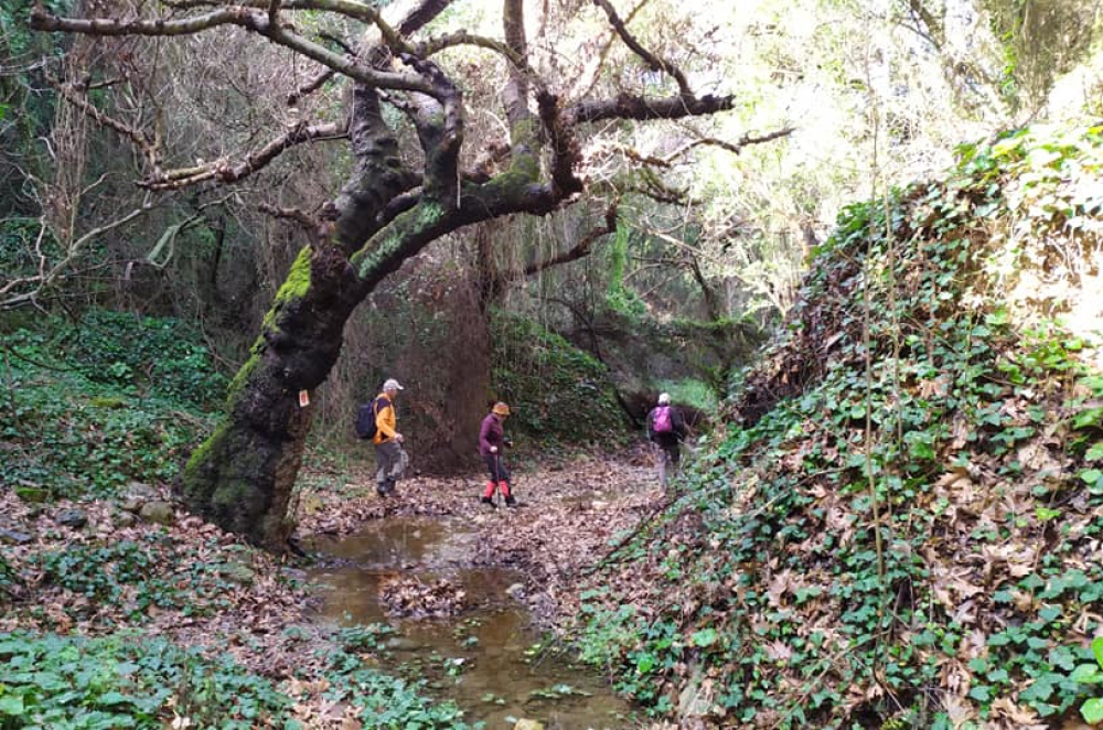 &Epsilon;&xi;ό&rho;&mu;&eta;&sigma;&eta; &sigma;&tau;&omicron; &phi;&alpha;&rho;ά&gamma;&gamma;&iota; &tau;&omega;&nu; &Tau;&alpha;&lambda;ά&nu;&tau;&omega;&nu; &alpha;&pi;ό &tau;&omicron;&nu; &Epsilon;&Omicron;&Sigma; &Mu;&Nu;&Alpha;&Lambda;