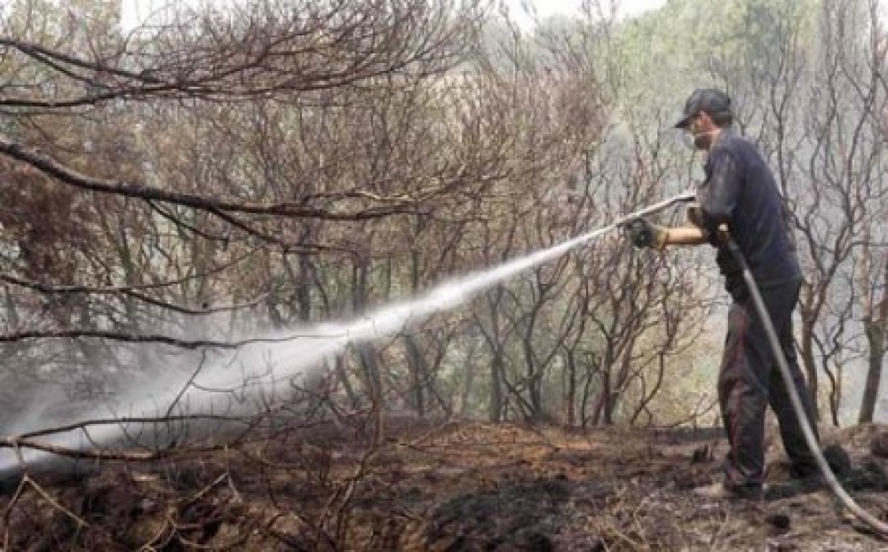 32 &pi;&rho;&omicron;&sigma;&lambda;ή&psi;&epsilon;&iota;&sigmaf; &gamma;&iota;&alpha; &pi;&upsilon;&rho;&omicron;&pi;&rho;&omicron;&sigma;&tau;&alpha;&sigma;ί&alpha; &sigma;&tau;&omicron; &Delta;ή&mu;&omicron; &Alpha;&nu;. &Mu;ά&nu;&eta;&sigmaf;