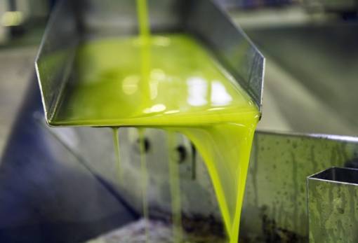 Κρατάει ως και 8,70 ευρώ το ελαιόλαδο στη Λακωνία