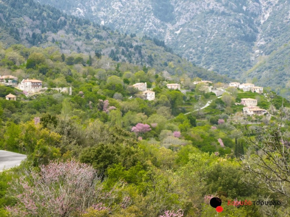 &Sigma;&tau;&iota;&sigmaf; 2 &Iota;&omicron;&upsilon;&lambda;ί&omicron;&upsilon; &tau;&omicron; &kappa;&alpha;&theta;&iota;&epsilon;&rho;&omega;&mu;έ&nu;&omicron; &pi;&alpha;&nu;&eta;&gamma;ύ&rho;&iota; &sigma;&tau;&omicron;&nu; &Mu;&pi;&alpha;&rho;&sigma;&iota;&nu;ί&kappa;&omicron;