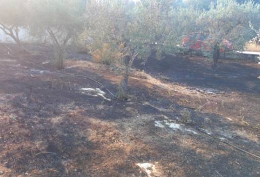 Υποβολή αιτήσεων για αποζημιώσεις από την πυρκαγιά στο Καραβοστάσι