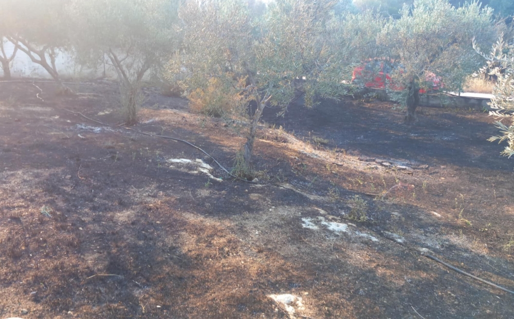 &Upsilon;&pi;&omicron;&beta;&omicron;&lambda;ή &alpha;&iota;&tau;ή&sigma;&epsilon;&omega;&nu; &gamma;&iota;&alpha; &alpha;&pi;&omicron;&zeta;&eta;&mu;&iota;ώ&sigma;&epsilon;&iota;&sigmaf; &alpha;&pi;ό &tau;&eta;&nu; &pi;&upsilon;&rho;&kappa;&alpha;&gamma;&iota;ά &sigma;&tau;&omicron; &Kappa;&alpha;&rho;&alpha;&beta;&omicron;&sigma;&tau;ά&sigma;&iota;