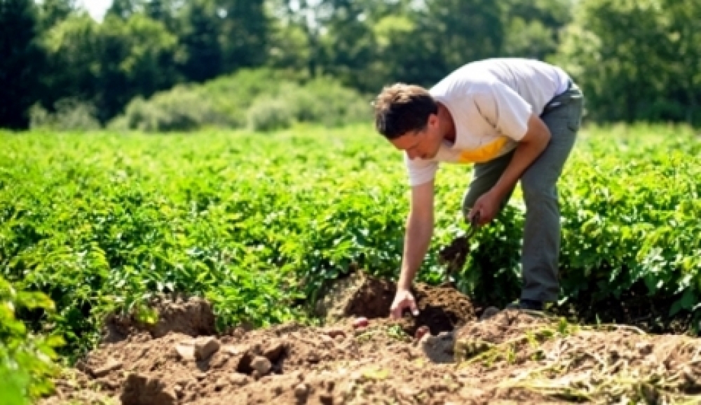 &Sigma;&tau;. &Chi;&rho;&upsilon;&sigma;&alpha;&delta;ά&kappa;&omicron;&sigmaf;: &laquo;&Delta;&iota;&kappa;&alpha;ί&omega;&sigma;&eta; &gamma;&iota;&alpha; &tau;&omicron;&upsilon;&sigmaf; &Lambda;ά&kappa;&omega;&nu;&epsilon;&sigmaf; &beta;&iota;&omicron;&kappa;&alpha;&lambda;&lambda;&iota;&epsilon;&rho;&gamma;&eta;&tau;έ&sigmaf;&raquo;