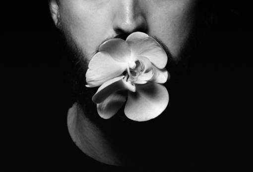 Όλα τα έχει ο μπαξές